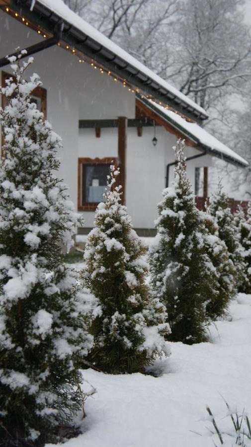 Na Szlaku - Domki Do Wynajecia Rabka Buitenkant foto