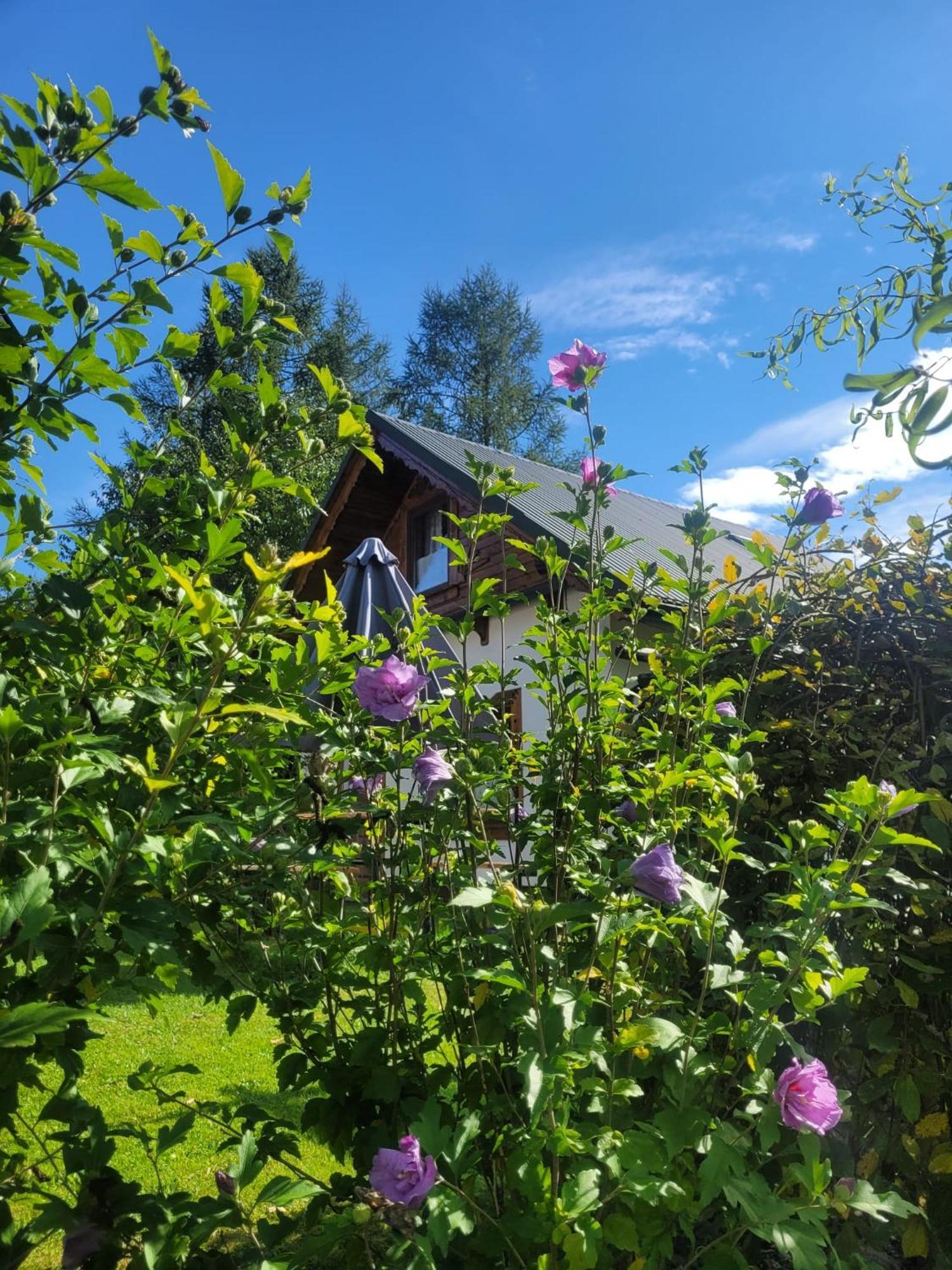 Na Szlaku - Domki Do Wynajecia Rabka Buitenkant foto